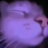 swecty